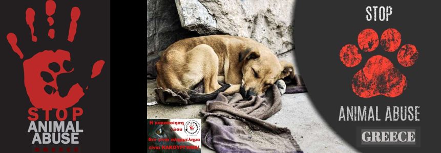 stop animal abuse greece 2